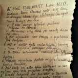 Il giovane cos� ha stappato la bottiglia e srotolato il foglio giallo dai bordi irregolari. Si � ritrova davanti a un testo scritto in maniera elegante scritto in lituano